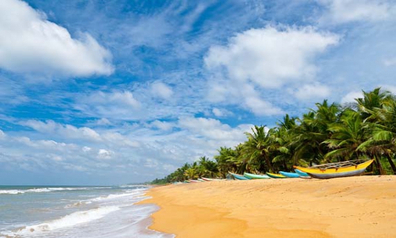 Image result for bask under the sun on the pristine beaches kerala