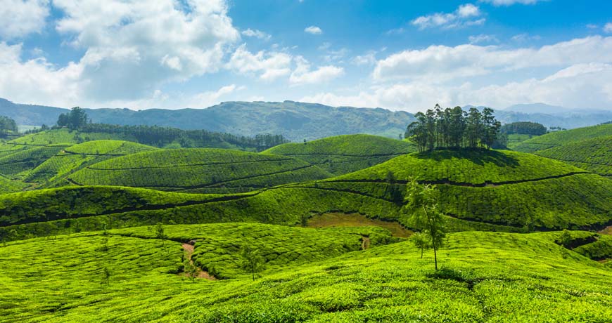 Kerala Tour Itinerary - The Unforgettable Kerala Tour Package