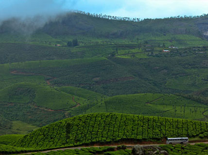 Exotic Kerala Hill Station with Cochin