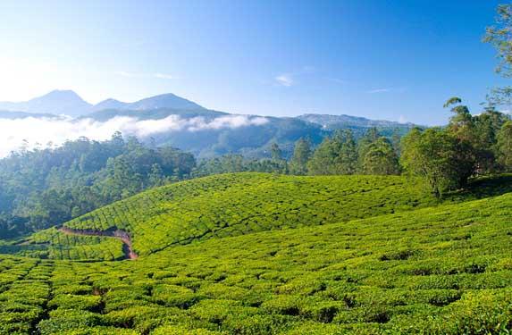 7 Nights 8 Days Kerala Package