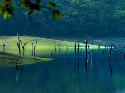 Nature's Saga - Kerala