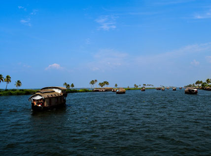 Stunning Backwaters of Kerala