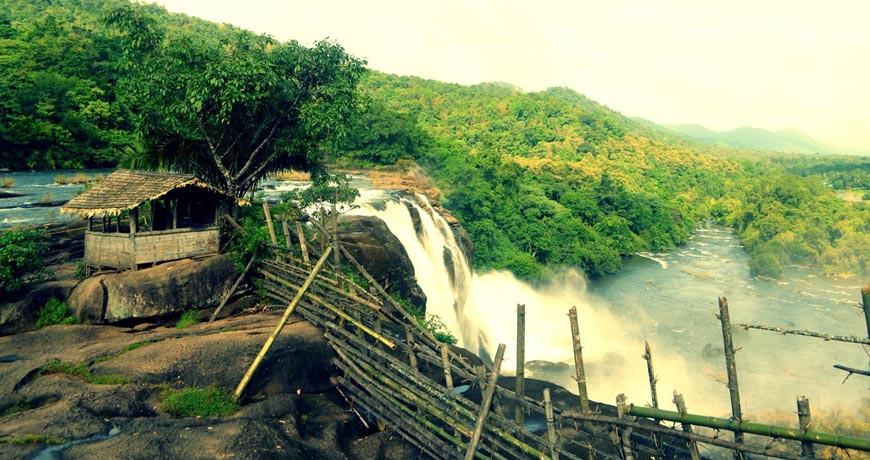 Wayanad Munnar Alleppey Tour