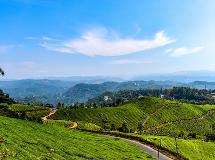 Cochin Munnar Thekkady Alleppey Tour Package