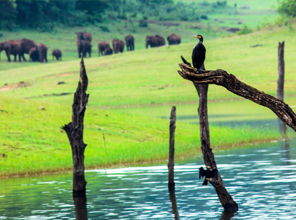 Treasures Of Kerala